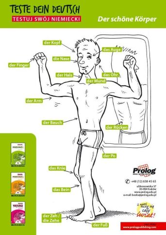 Plakat "Der schöne Körper"