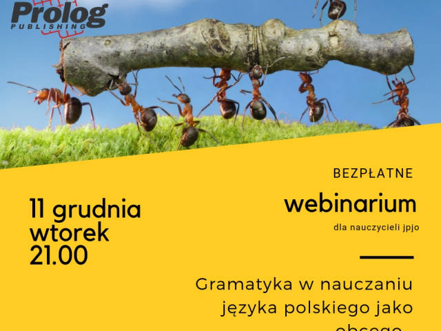 Webinarium "Gramatyka w nauczaniu języka polskiego jako obcego". 