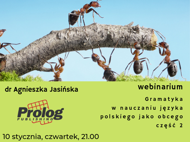 Gramatyka w nauczaniu języka polskiego jako obcego cz.2
