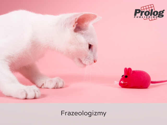 Frazeologizmy